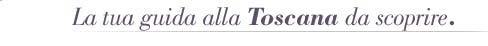 Terraditoscana.com